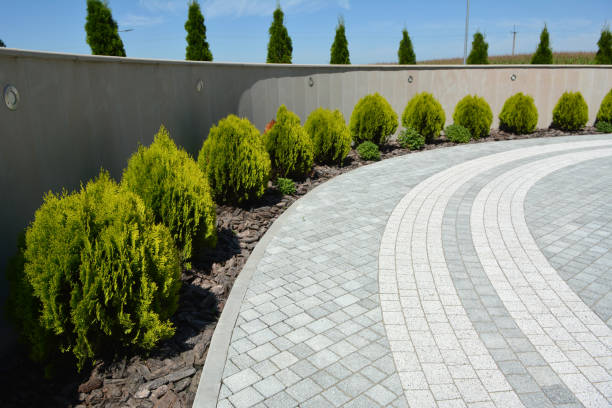 Best Custom Driveway Pavers  in Conway, SC